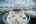 Blurred preview of media: Dorothy Gayle-40