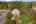Blurred preview of media: 1-92