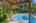 Blurred preview of media: Nerine_026