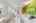Blurred preview of media: 25 Partridge Avenue Somerville Massachusetts Job 40170 0013