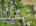 Blurred preview of media: 25-prospect-avenue-andover-nj-usa-drone-004