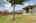 Blurred preview of media: 2718BrightonPark_HighRes-27