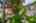 Blurred preview of media: Hamilton-40