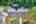 Blurred preview of media: DJI_0145_6_7_easyHDR