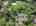 Blurred preview of media: 51-roosevelt-trail-hopatcong-nj-usa-drone-009
