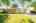 Blurred preview of media: 7 Wallis Ave, Smithville _ Nathan Ferro5