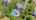 Blurred preview of media: 4_Randolph_Ct_0053