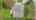 Blurred preview of media: DJI_0308