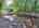 Blurred preview of media: DJI_20250903124613_0022_D_3_0023_D_4_0024_D_easyHDR