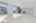 Blurred preview of media: 27