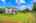 Blurred preview of media: 1-826-2275