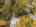 Blurred preview of media: 095
