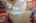 Blurred preview of media: IMG_1894_5_6