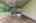 Blurred preview of media: 1 Heather Hill Road Acton Massachusetts Job 40014 0055