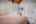 Blurred preview of media: PAX_0803