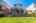 Blurred preview of media: un-45