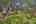 Blurred preview of media: 36 4200-havenrock