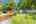 Blurred preview of media: 2-626-6079