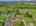 Blurred preview of media: 25-prospect-avenue-andover-nj-usa-drone-005