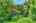Blurred preview of media: IMG_0910_1_2_easyHDR