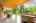 Blurred preview of media: 166 Foxridge Dr, Ancaster _ Nathan Ferro1096