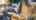 Blurred preview of media: 2025_01_January_47_Major_Ridge_Rd_0035