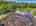 Blurred preview of media: 9zzzk