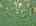 Blurred preview of media: DJI_20260702125133_0615_D_6_D_7_D_easyHDR