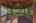 Blurred preview of media: Nerine_010