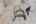 Blurred preview of media: 2026_09_September_2603_Sweet_Bay_Cir_NW_0031