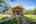 Blurred preview of media: TEL00456-HDR