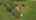 Blurred preview of media: DJI_0745