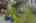 Blurred preview of media: DSC_3709