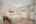 Blurred preview of media: 33-21290_SW_Eastview_Rd
