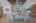 Blurred preview of media: 6V8A8583