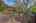Blurred preview of media: 250245-34