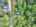 Blurred preview of media: DJI_20250616144158_0810_D_1_D_2_D_easyHDR