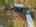 Blurred preview of media: 094