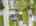 Blurred preview of media: 121 Millbury Avenue Millbury Massachusetts Job 39336 0069