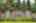 Blurred preview of media: 1.1