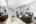 Blurred preview of media: IMG_7267