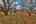 Blurred preview of media: IMG_8299_300_301_easyHDR
