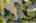 Blurred preview of media: Aerial 09