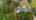 Blurred preview of media: 85208 Airplane Lane-80