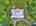 Blurred preview of media: DJI_20260818120739_0997_D_8_D_9_D_easyHDR