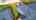 Blurred preview of media: 60