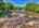 Blurred preview of media: 9zzzg