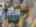 Blurred preview of media: 1-19