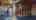 Blurred preview of media: IMG_9981
