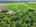 Blurred preview of media: 76-shades-of-death-road-great-meadows-n-j-drone-007